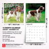 image English Springer Spaniels 2027 Wall Calendar Seventh  Alternate Image