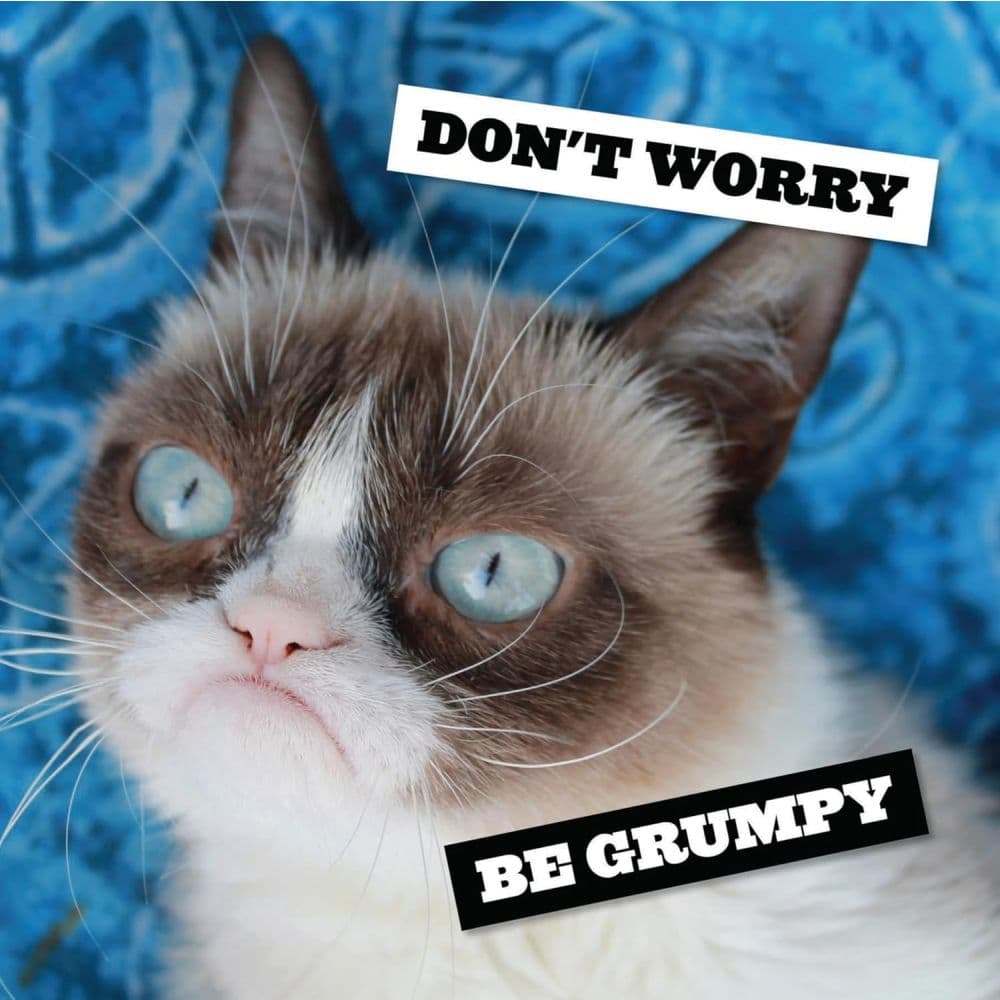 Grumpy Cat 2027 Wall Calendar Sixth  Alternate Image