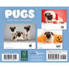 image Pugs 2026 Desk Calendar First Alternate Image