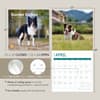 image Border Collies 2025 Wall Calendar Seventh Alternate Image