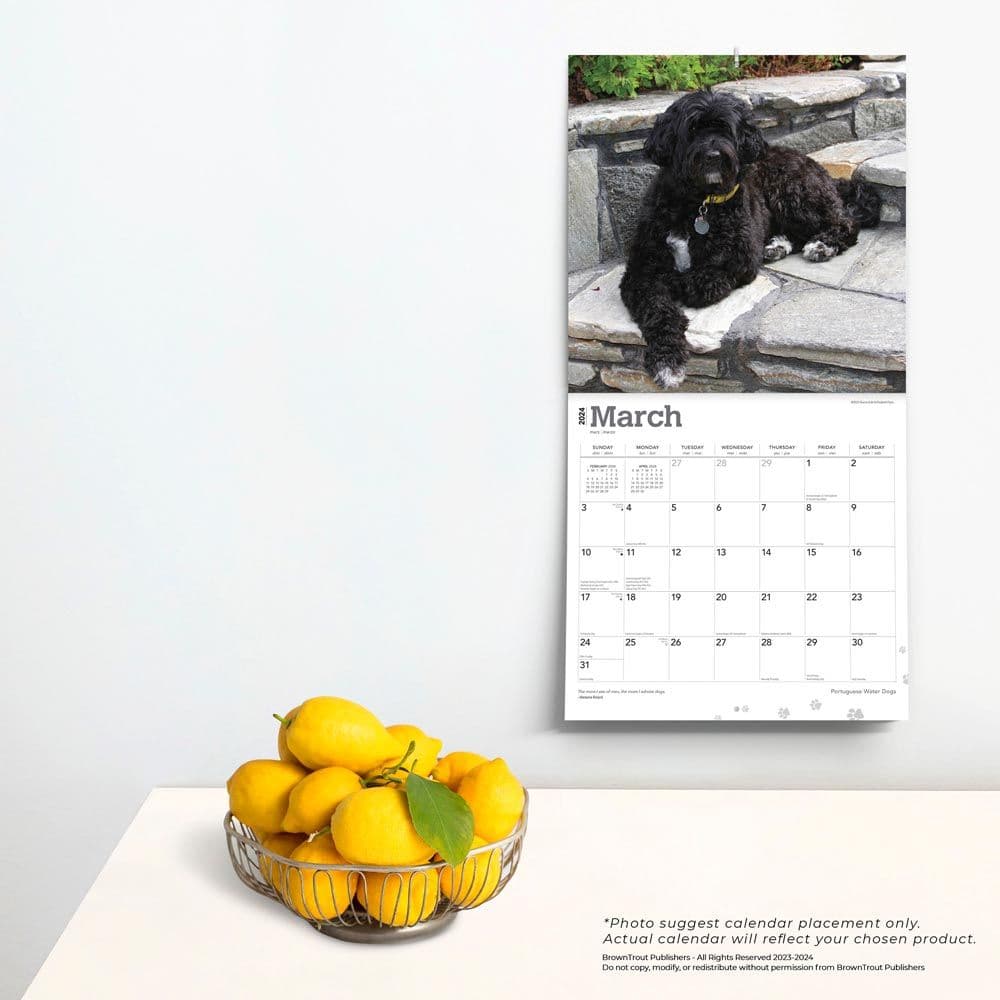 Portuguese Water Dogs 2024 Wall Calendar Third Alternate Image width=&quot;1000&quot; height=&quot;1000&quot;