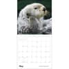image Sea Otters 2027 Wall Calendar Second Alternate Image