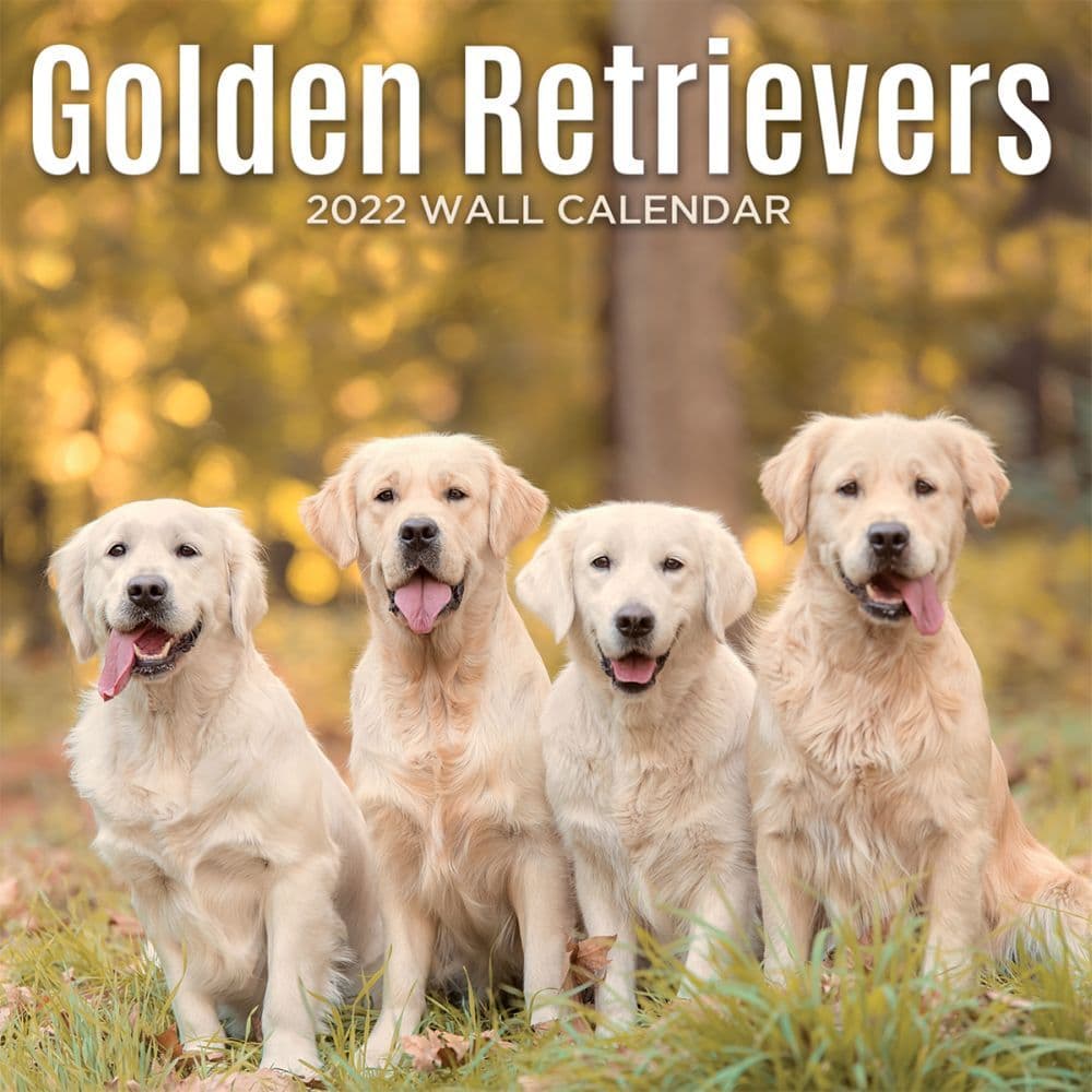 Golden Retrievers 2022 Wall Calendar