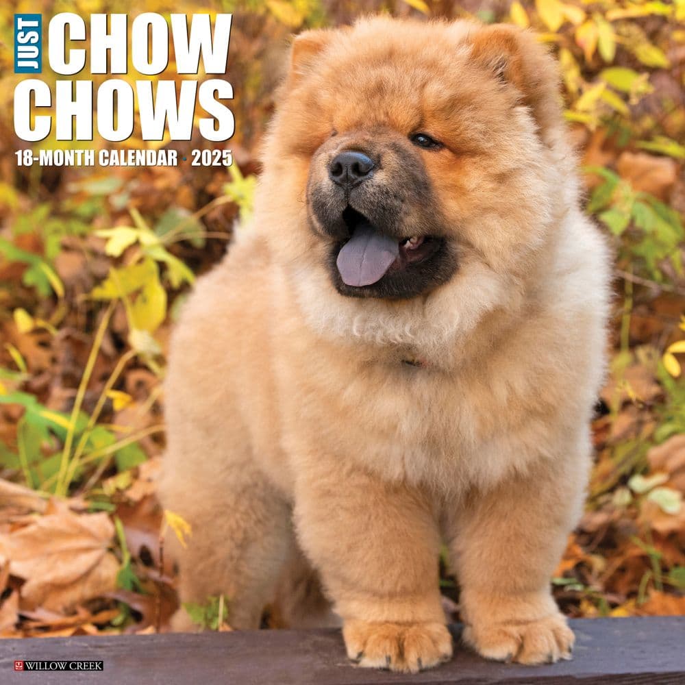 Chow Chows 2025 Wall Calendar