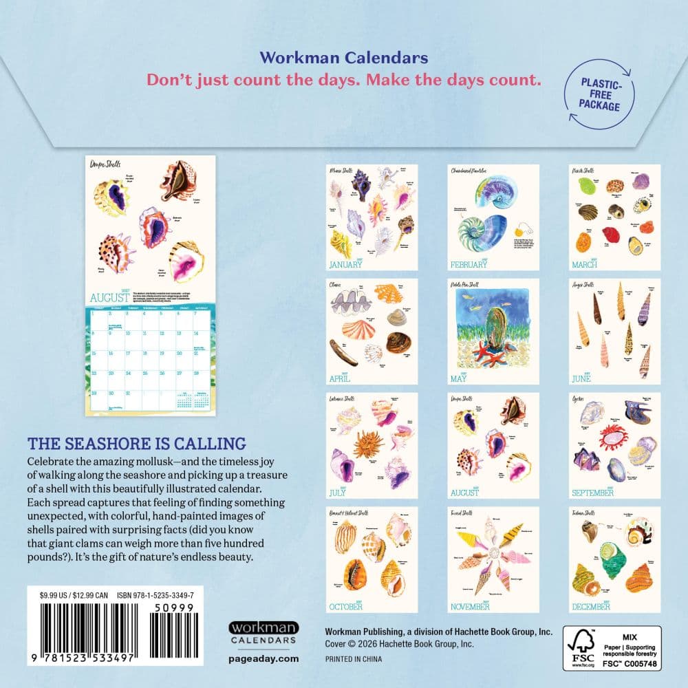 Searching for Seashells 2027 Mini Wall Calendar First Alternate Image