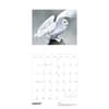 image Chappell Owls 2024 Wall Calendar_ALT2