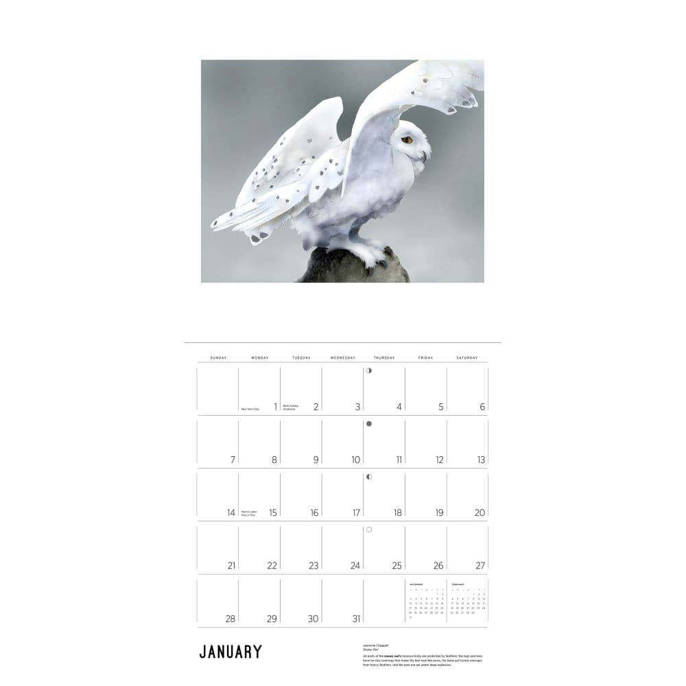 Chappell Owls 2024 Wall Calendar_ALT2
