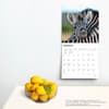 image Baby Animals 2024 Wall Calendar Third Alternate Image width=&quot;1000&quot; height=&quot;1000&quot;