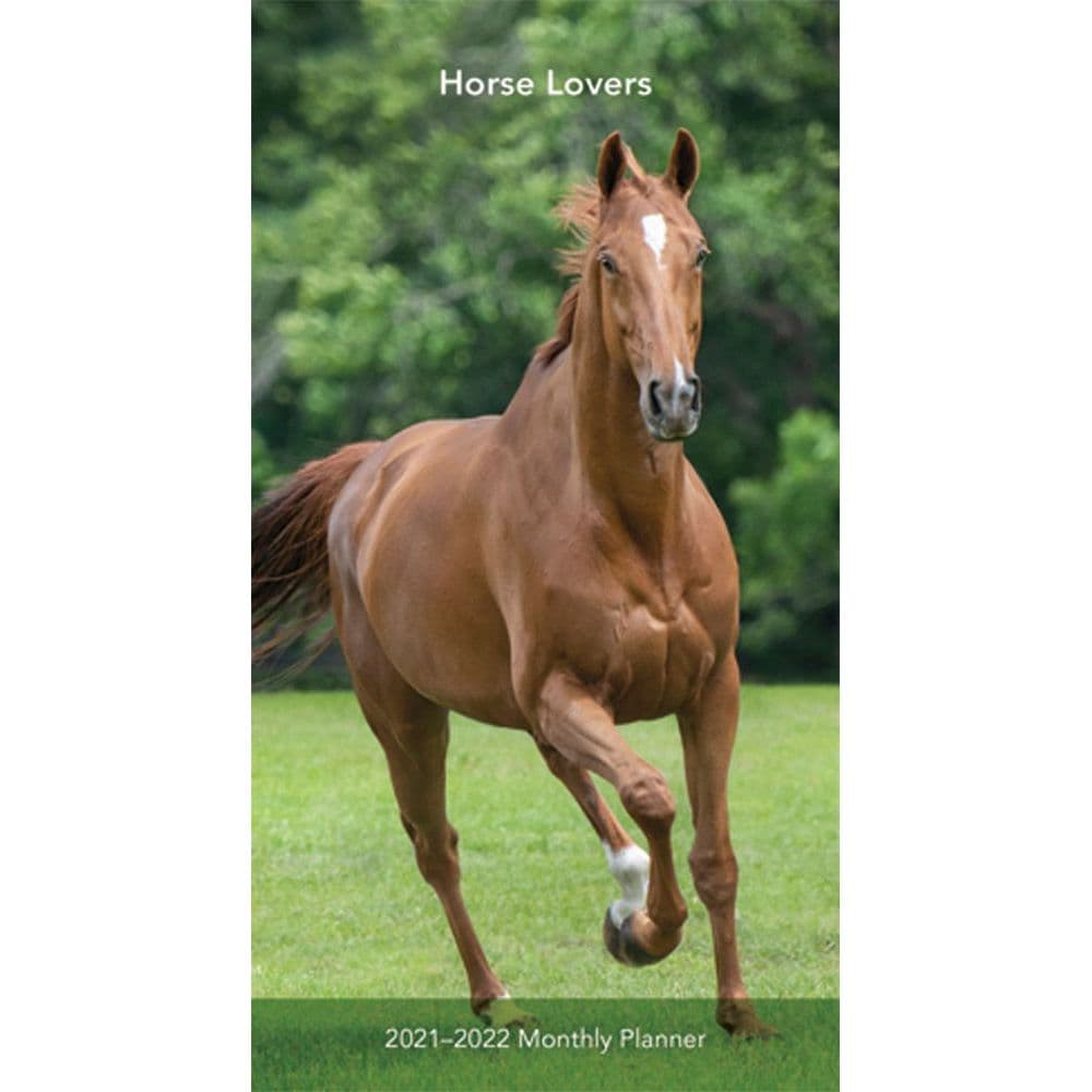 Horses Lovers Two Year Pocket Planner