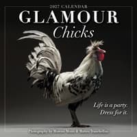 image Glamour Chicks 2027 Mini Wall Calendar Main Product Image