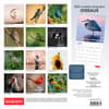 image Canadian Geographic Oiseaux 2026 Wall Calendar