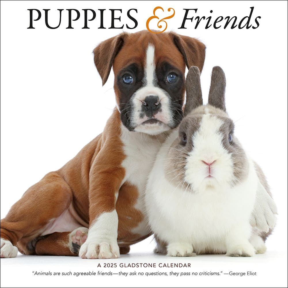 Puppies and Friends 2025 Wall Calendar Main Image