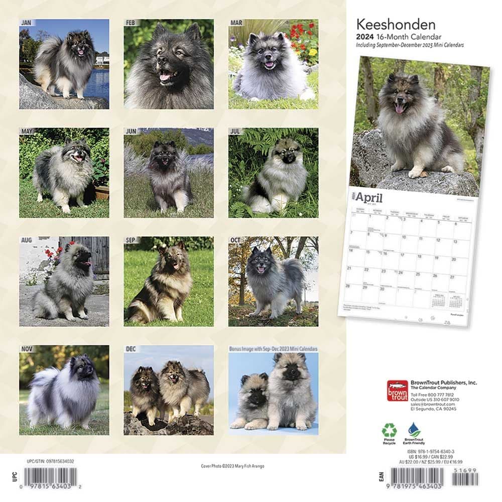 Keeshonden 2024 Wall Calendar