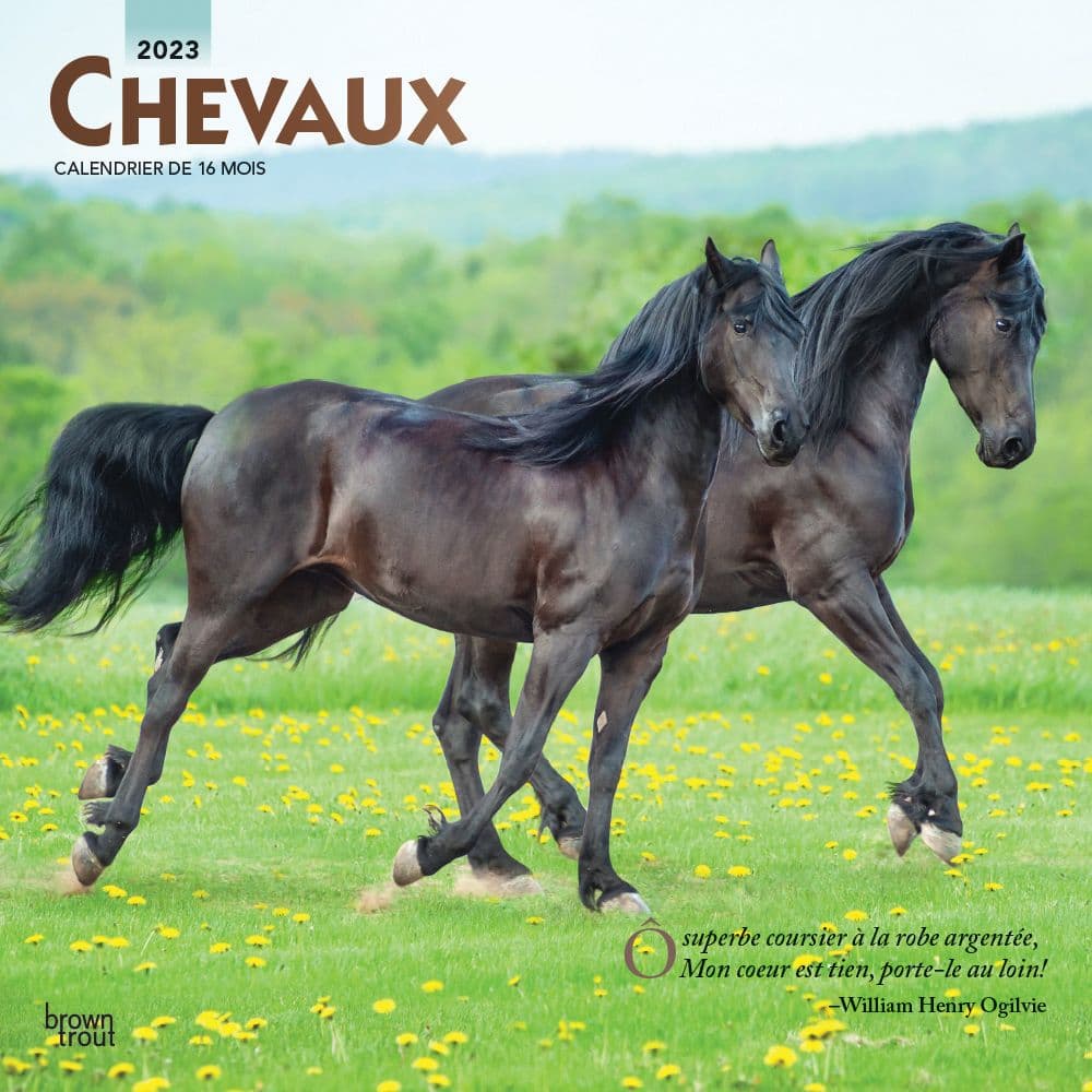 BrownTrout Chevaux Horses 2023 Wall Calendar