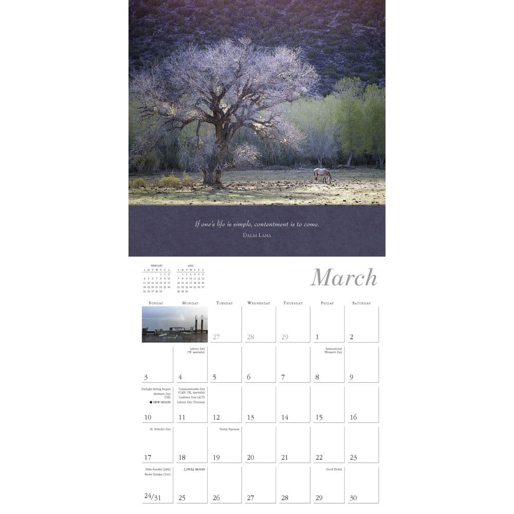 Simplicity 2024 Wall Calendar - Calendars.com