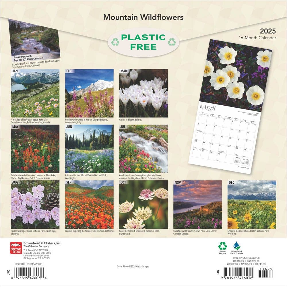 Mountain Wildflowers 2025 Wall Calendar First Alternate Image