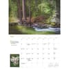 image Into the Woods Deluxe 2026 Wall Calendar Third Alternate Image