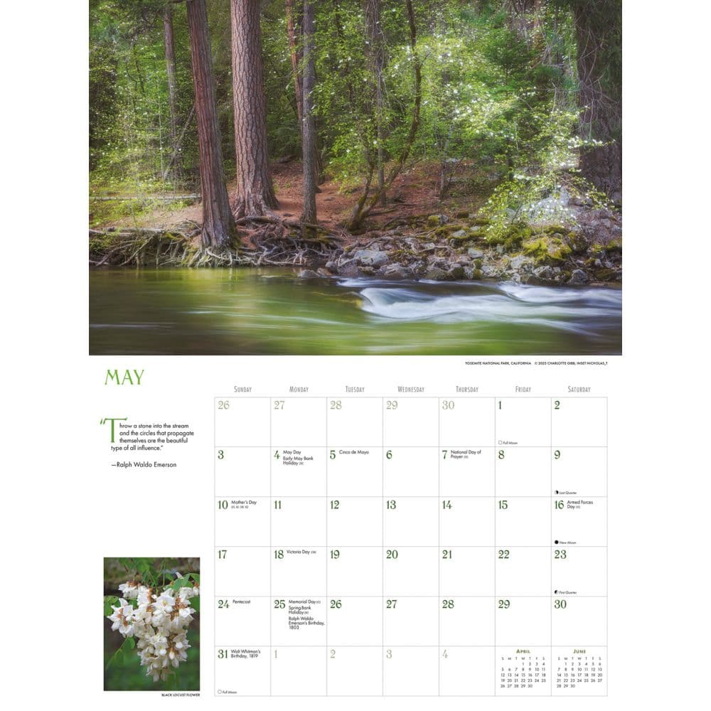 Into the Woods Deluxe 2026 Wall Calendar Third Alternate Image