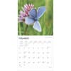 image Butterflies 2025 Wall Calendar