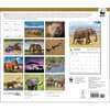 image Elephants WWF 2025 Wall Calendar First Alternate Image width="1000" height="1000"