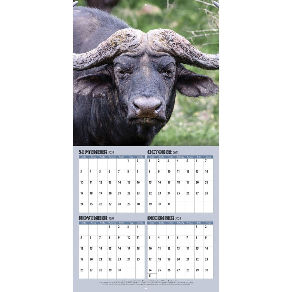 African Safari 2024 Wall Calendar Calendars Com   1c91a334 39ef 4db0 8ca8 D9e7fc4e82e9