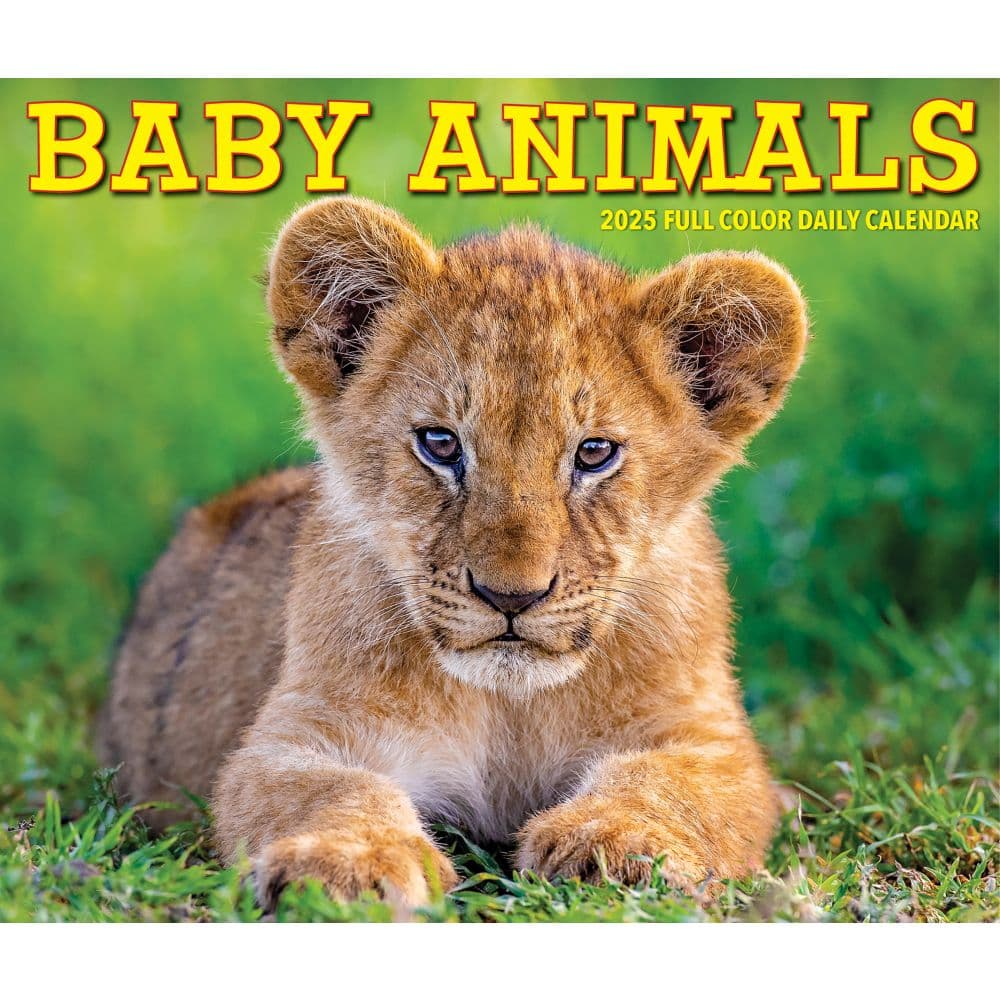 image Baby Animals 2025 Desk Calendar  Main Image