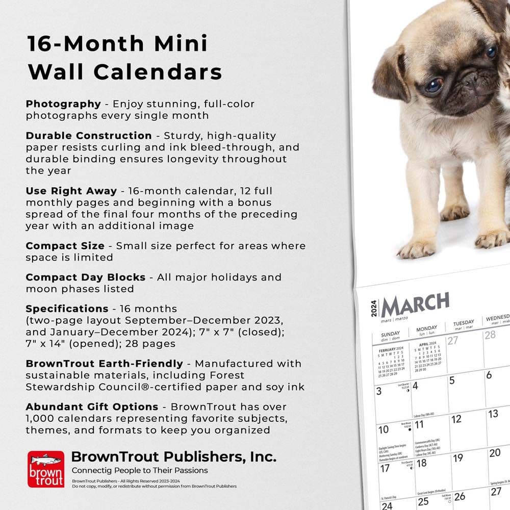 Kittens &amp; Puppies 2024 Mini Wall Calendar Fourth Alternate Image width=&quot;1000&quot; height=&quot;1000&quot;