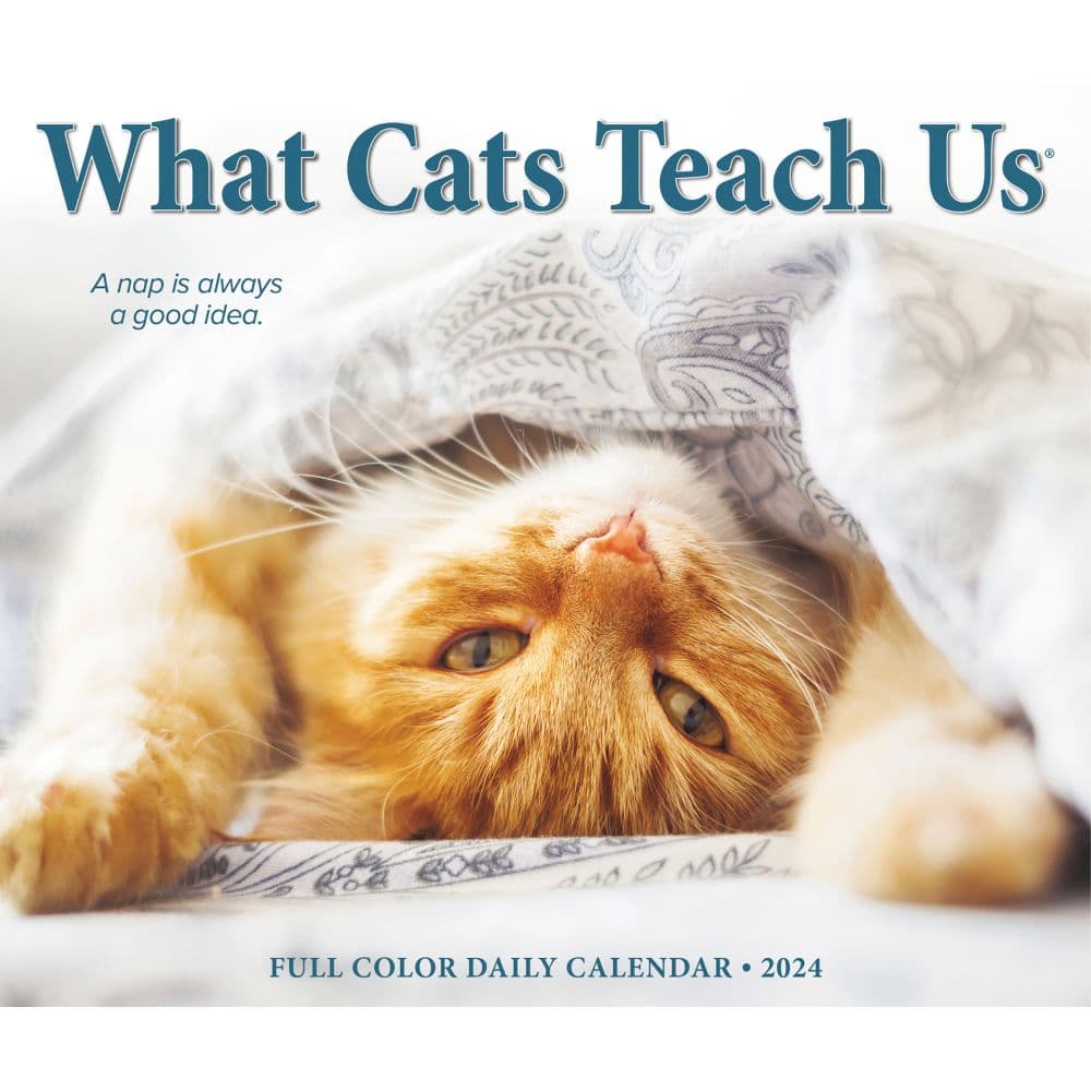 Cats What Cats Teach Us 2024 Desk Calendar - Calendars.com