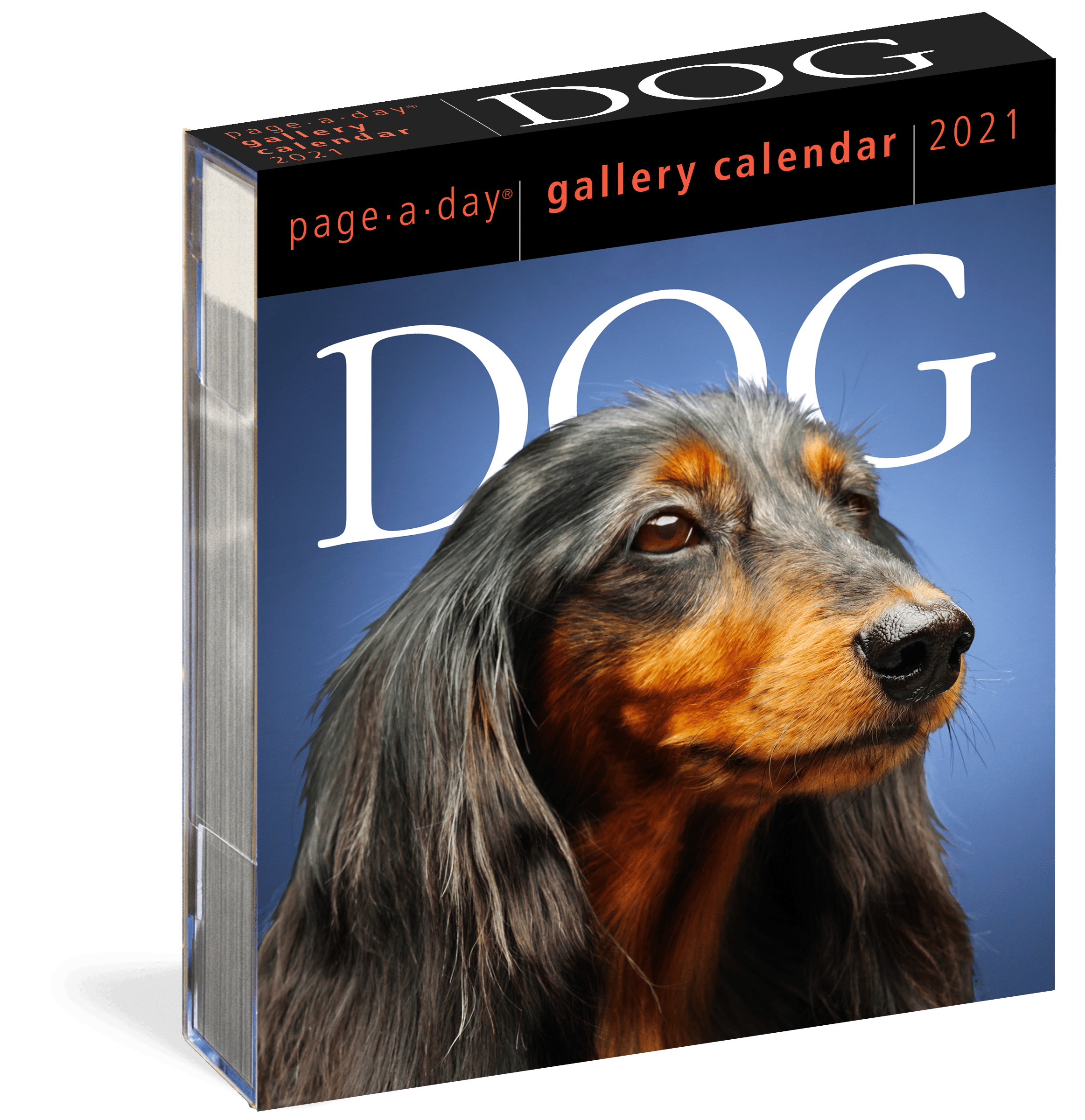 2021 Pup Portrait Desk Calendar