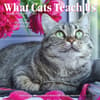 image What Cats Teach Us 2025 Mini Wall Calendar Main Image