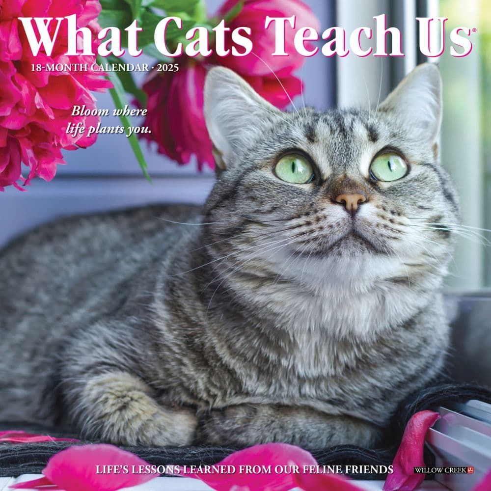 image What Cats Teach Us 2025 Mini Wall Calendar Main Image