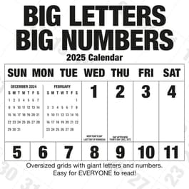 Big Letters Big Numbers 2025 Wall Calendar