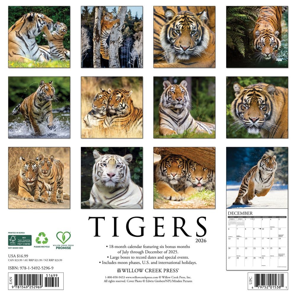 Tigers 2026 Wall Calendar First Alternate Image