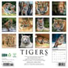 image Tigers 2026 Wall Calendar First Alternate Image