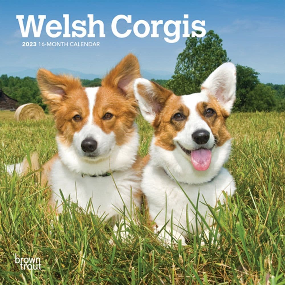 welsh-corgis-2023-mini-wall-calendar-7x7-calendars