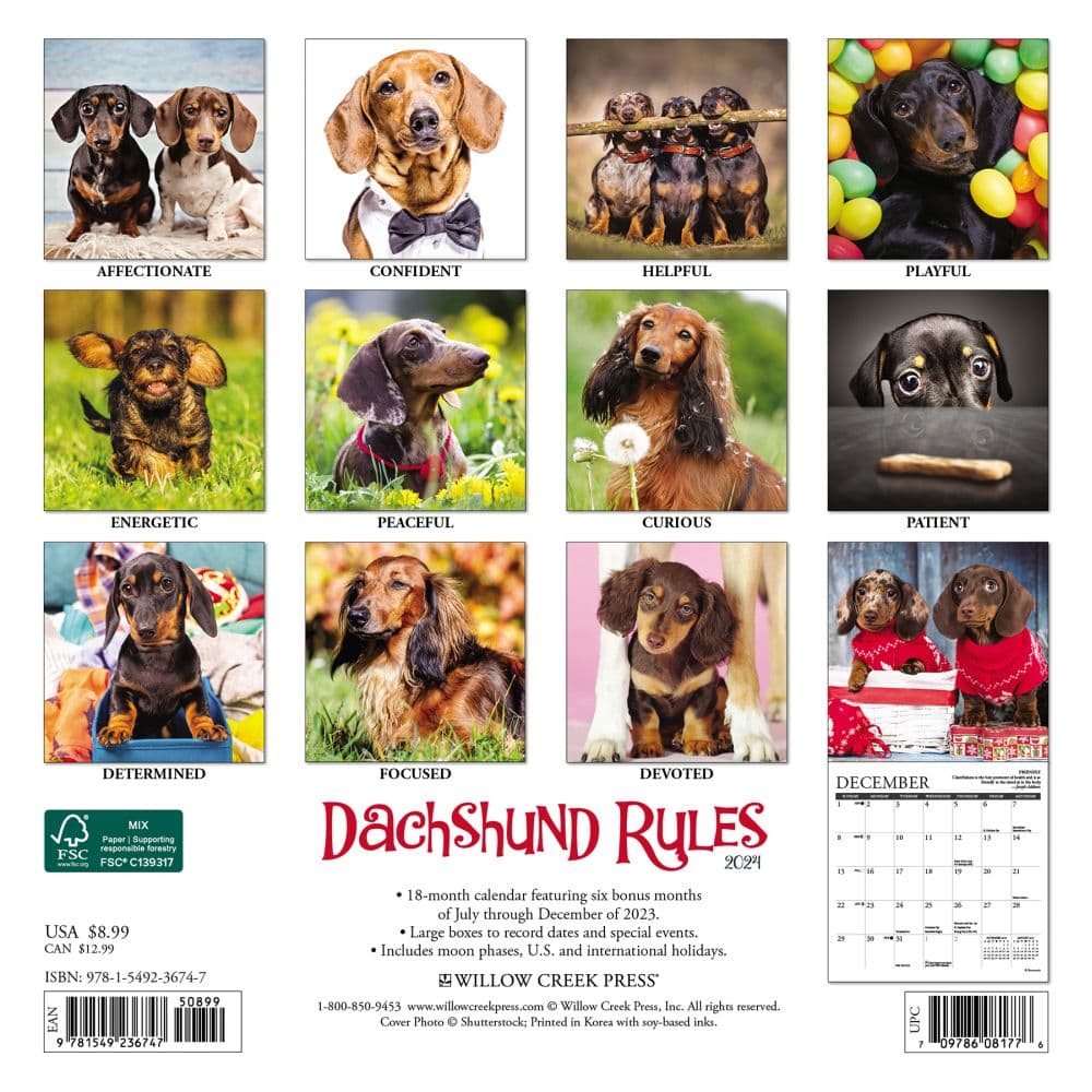 Dachshund Rules 2024 Mini Wall Calendar