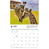 image Giraffes WWF 2026 Wall Calendar Third Alternate Image