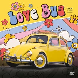 Love Bug 2025 Wall Calendar