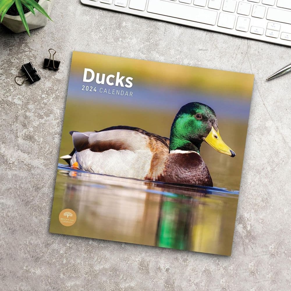 Ducks 2024 Wall Calendar Calendars Com   1cf8f1ac 490b 436e 9a43 Fbd9a5d7a2f6