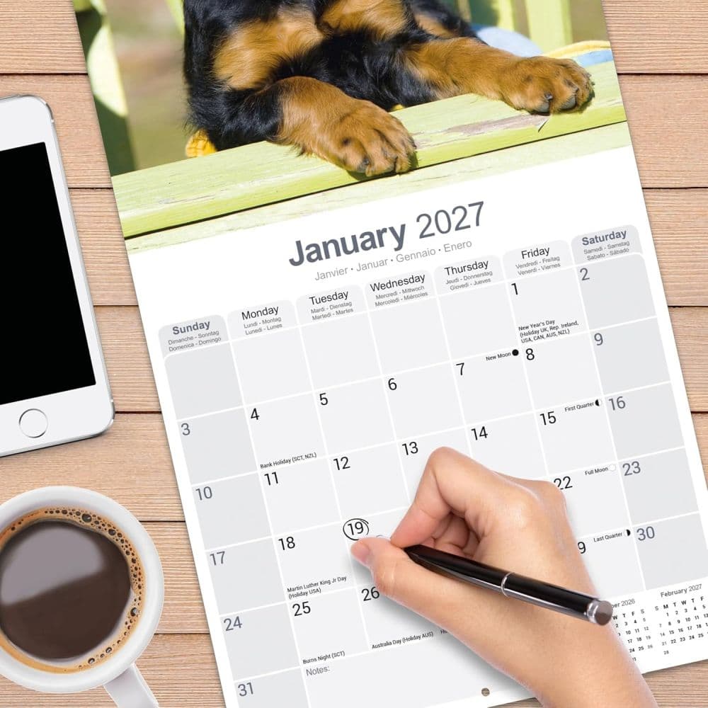 Gordon Setter 2027 Wall Calendar Fourth Alternate Image
