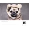 image Pugs 2026 Desk Calendar Fourth  Alternate Image