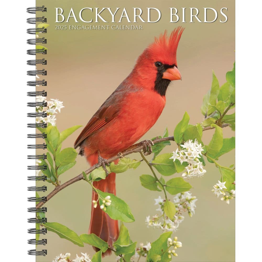 Backyard Birds 2025 Engagement Planner Main Image