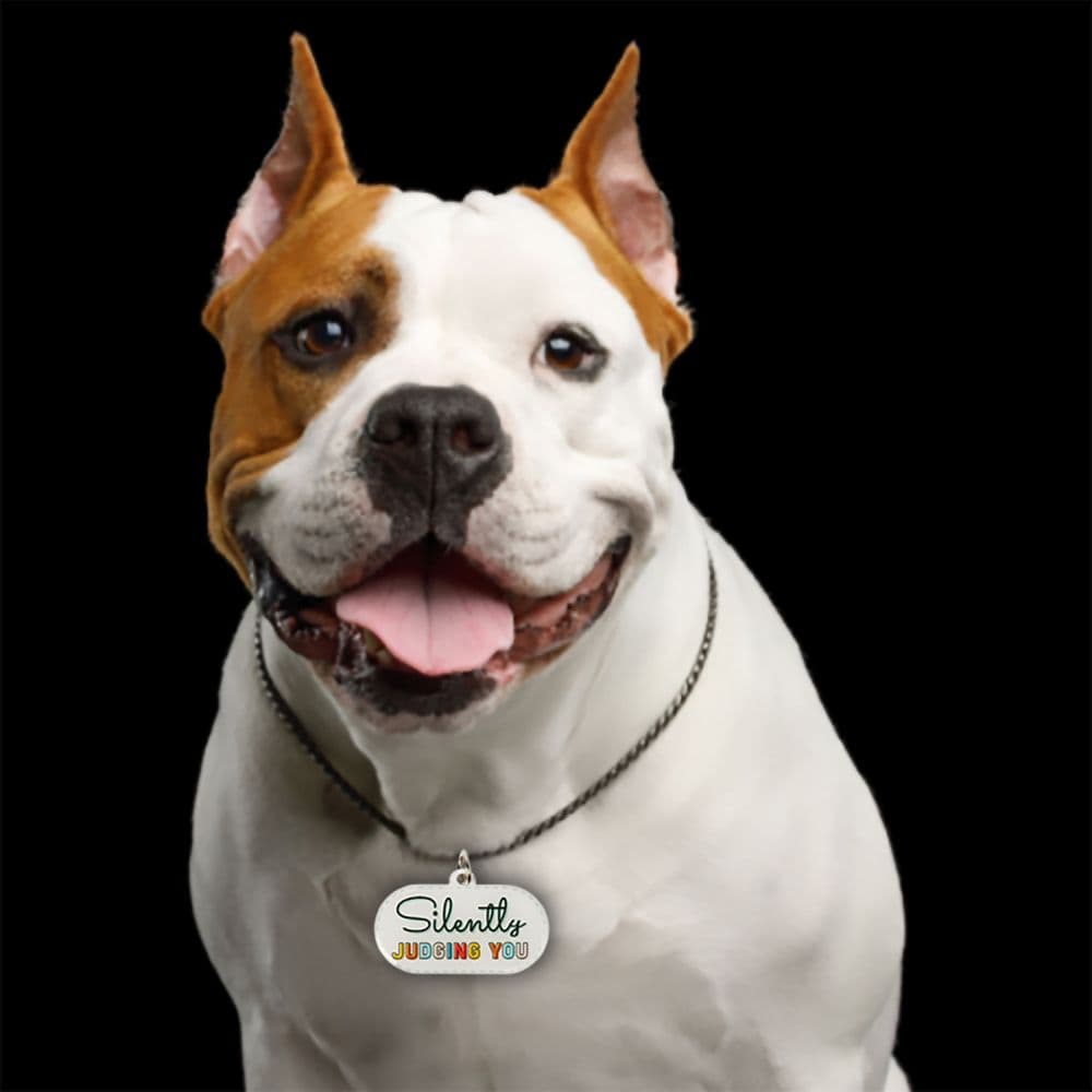 Silently Judging You Dog Collar Charm