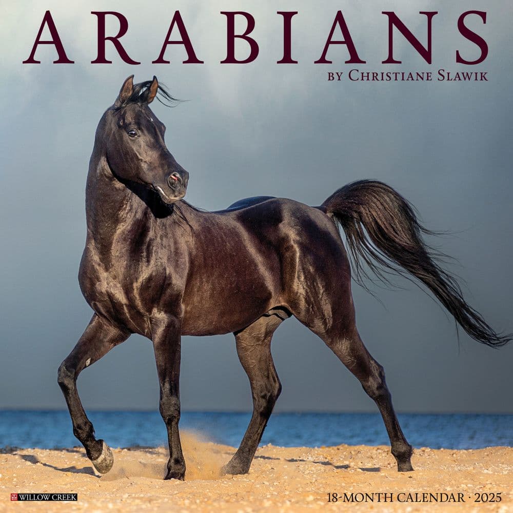 Arabians 2025 Wall Calendar  Main Image