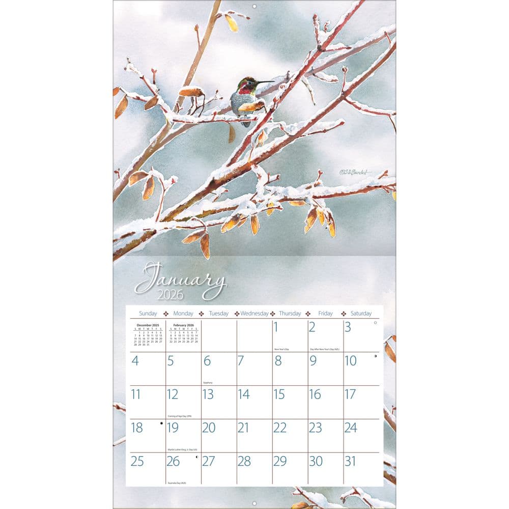 Hummingbirds 2026 Wall Calendar by Susan Bourdet_ALT1