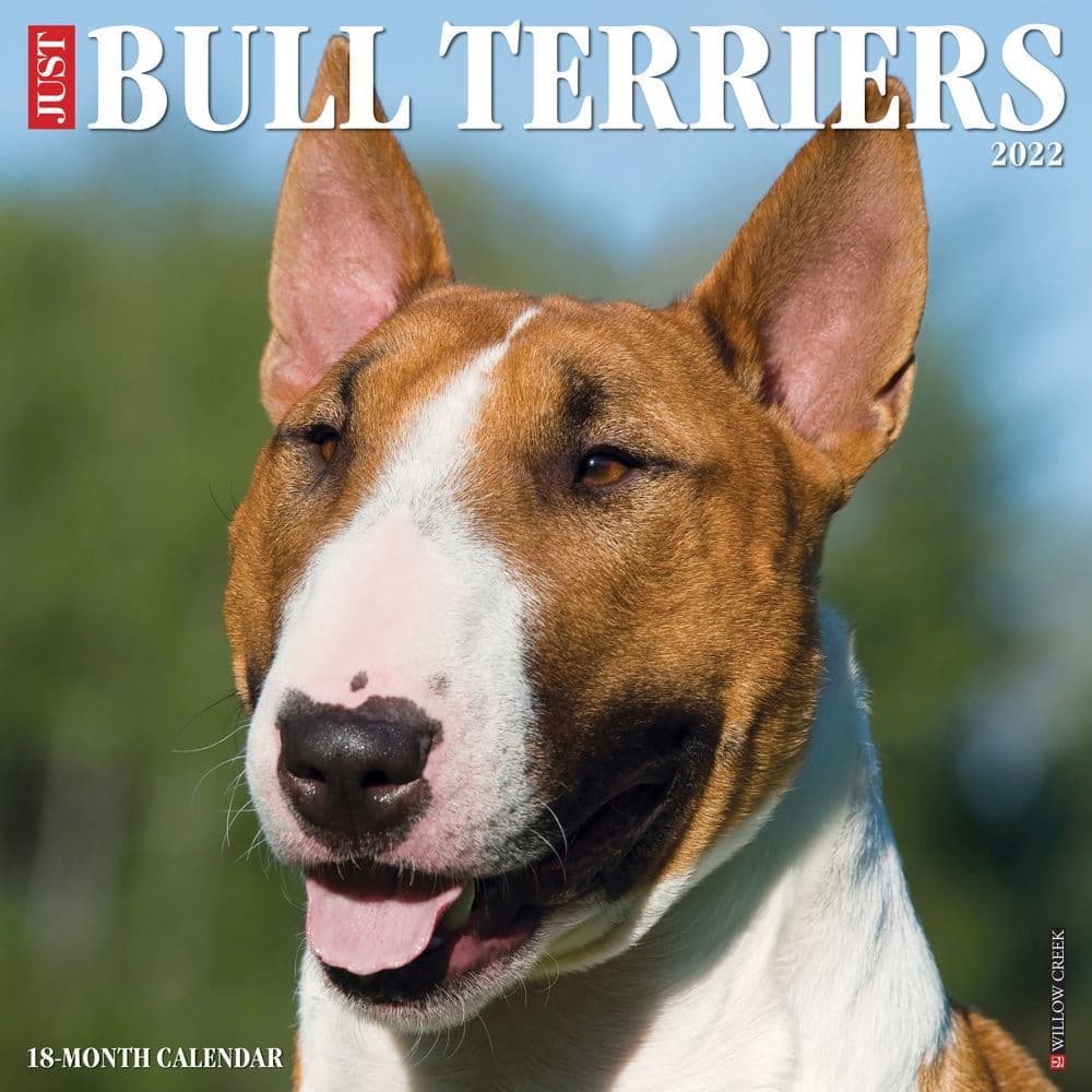 Bull Terriers 2022 Wall Calendar - Calendars.com