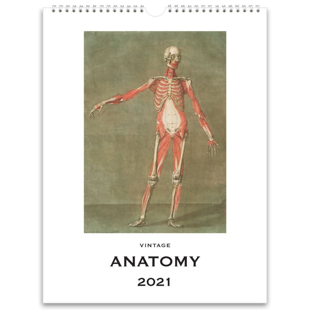 2021 Anatomy Nostalgic Wall Calendar