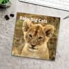 image Baby Big Cats 2024 Wall Calendar Fourth Alternate Image width=&quot;1000&quot; height=&quot;1000&quot;