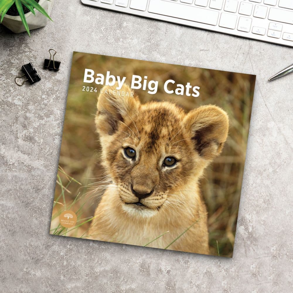 Baby Big Cats 2024 Wall Calendar Fourth Alternate Image width=&quot;1000&quot; height=&quot;1000&quot;