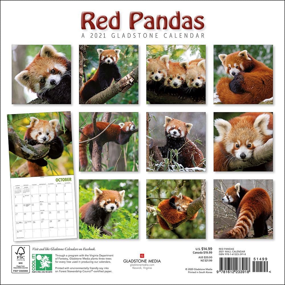Red Pandas Wall Calendar - Calendars.com